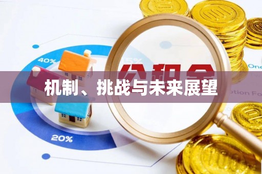 沂南机制、挑战与未来展望