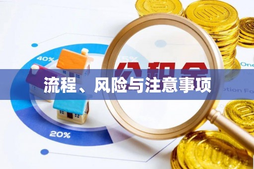 沂南流程、风险与注意事项